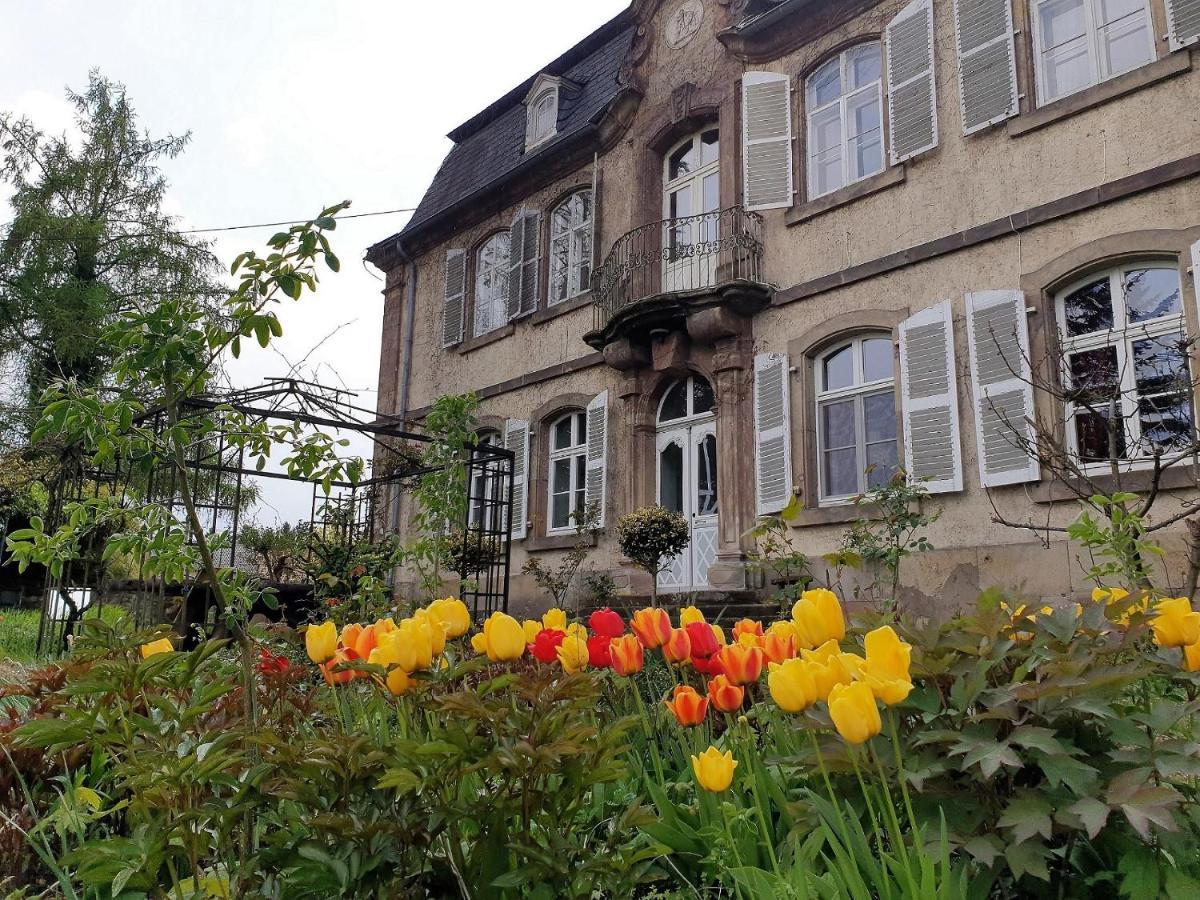 Schloss Hilbringen 梅尔齐 外观 照片